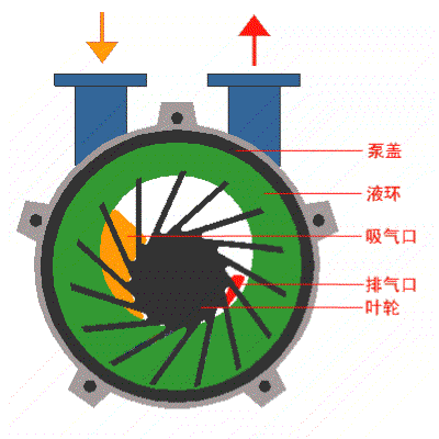 水環(huán)式真空泵